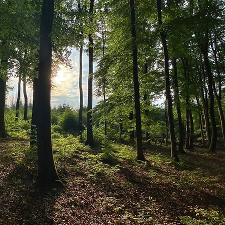 Fruehstueckspension Zur Krone Bad Endbach Esterno foto