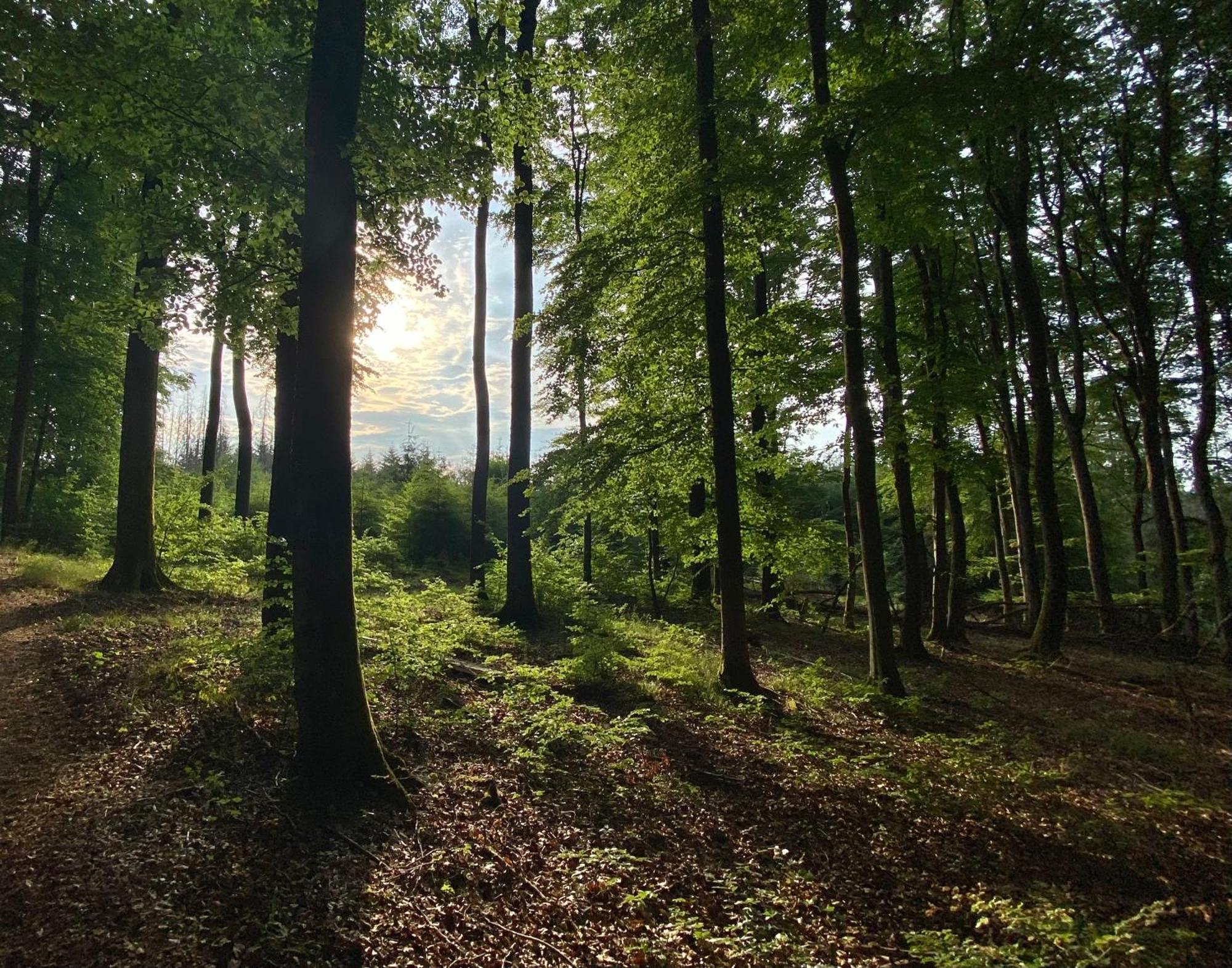 Fruehstueckspension Zur Krone Bad Endbach Esterno foto